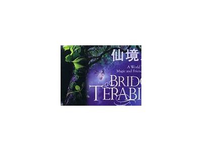 《仙境之桥》电影在线免费观看与观影指南