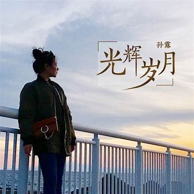 《光辉岁月》电影在线观看：免费渠道推荐与观看指南
